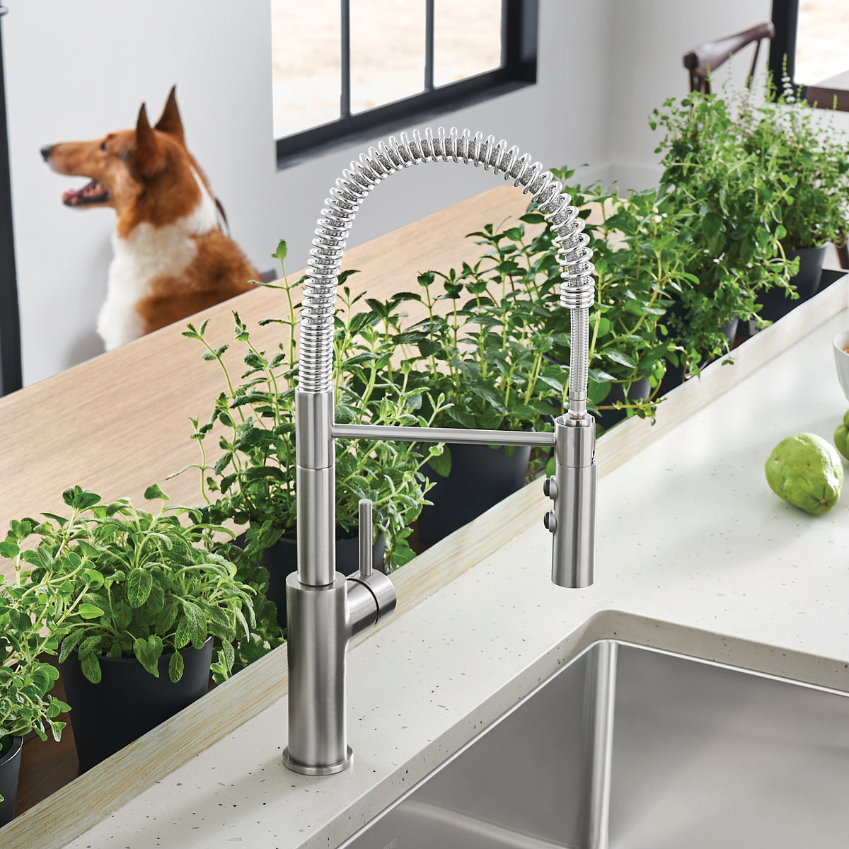 Blanco - 401918 - Catris Semi-Pro Pull-Down Dual-Spray Kitchen Faucet - PVD Steel - Beauty Shot 5