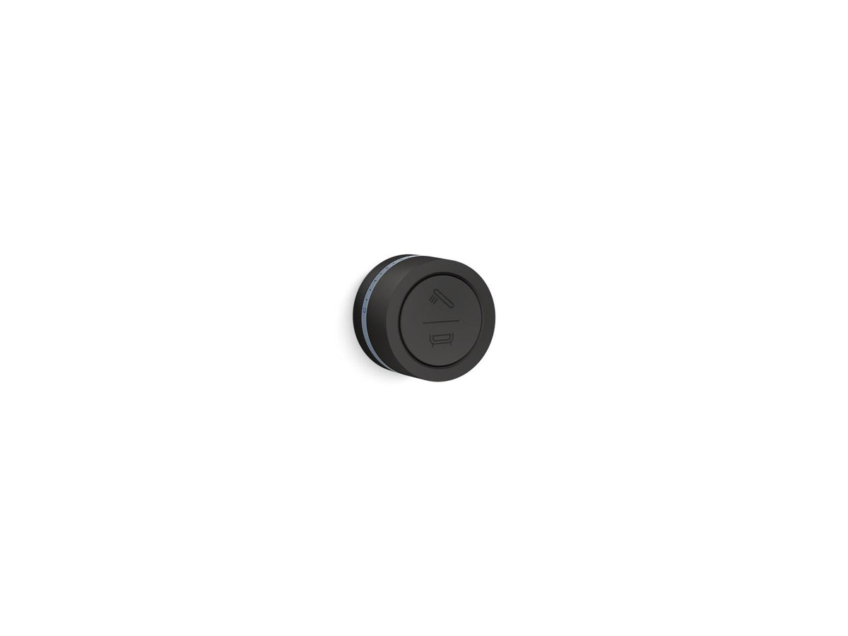 DTV Mode Wall-mount bath/shower digital interface